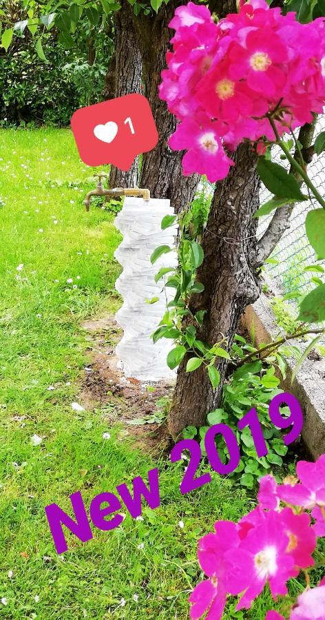 ピエトラサンタCasa Miteアパートメント エクステリア 写真